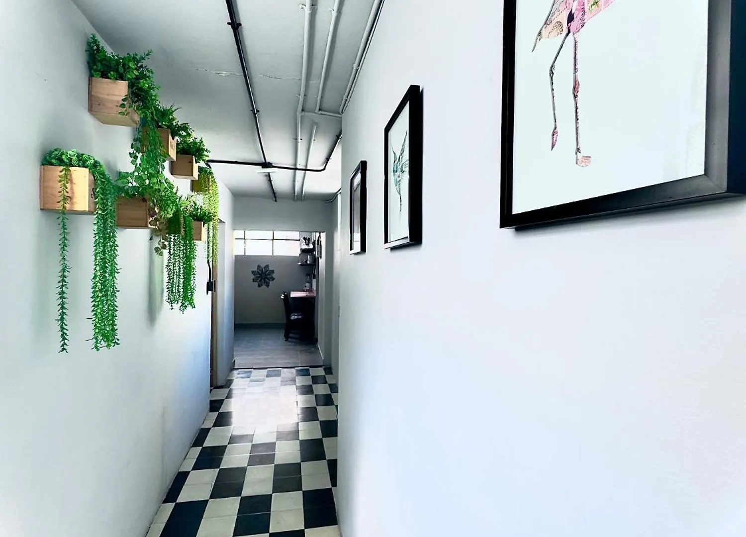 Spacious Dream House Medellin Laureles 0*,  콜롬비아